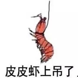 皮皮虾攻击视频,惊心动魄的海洋对决