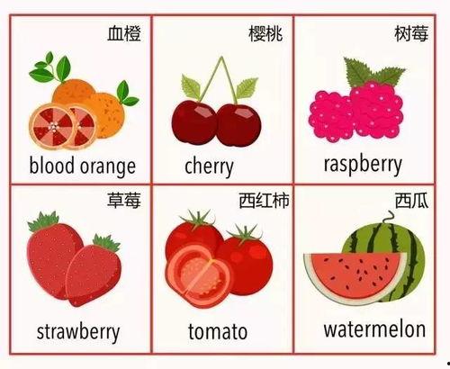 水果类的英语单词视频,Exploring the Vocabulary of Fruits in English: A Video Overview